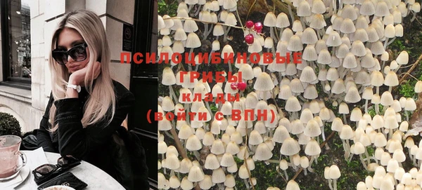 дживик Абинск