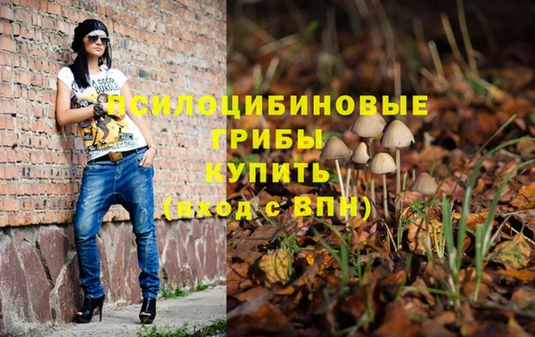 дживик Абинск