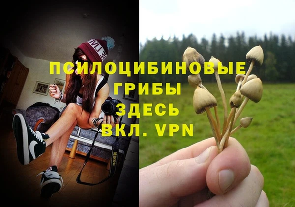 дживик Абинск